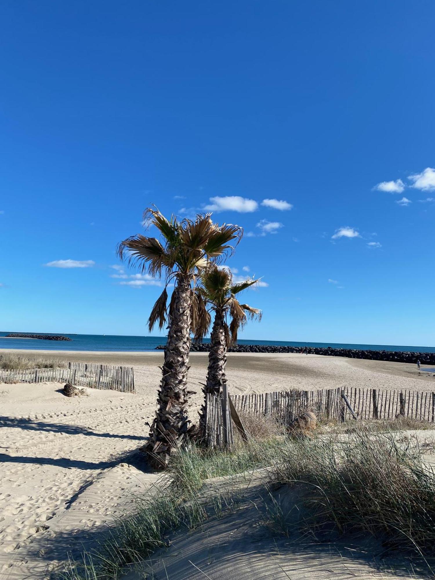 Appart - T3 - 6 Personnes - Golf Cap D'Agde Εξωτερικό φωτογραφία